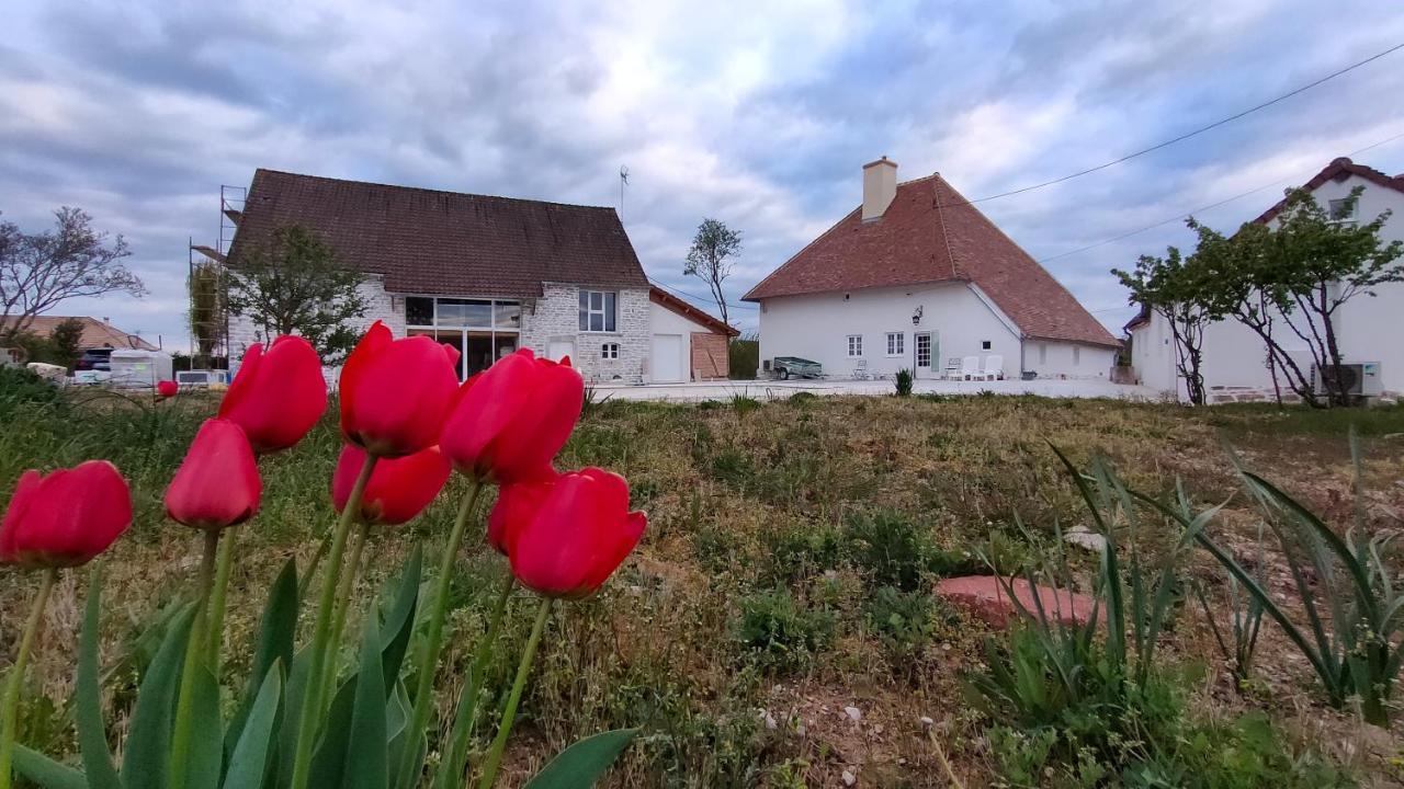 Апартаменты Domaine Ravy-Magnolia Saint-Symphorien-sur-Saone Экстерьер фото